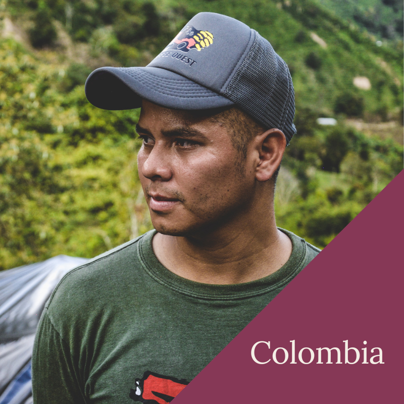 Santa Maria in Colombia - Dark Roast - 1kg