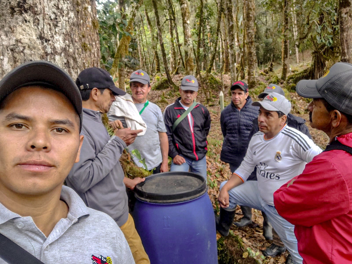 Santa Maria in Colombia - Dark Roast - 1kg