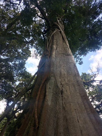Vier Seizoenen - Elk seizoen een specialty verassing