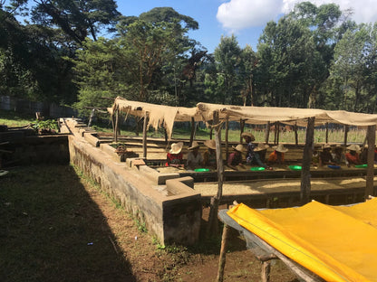 Vier Seizoenen - Elk seizoen een specialty verassing